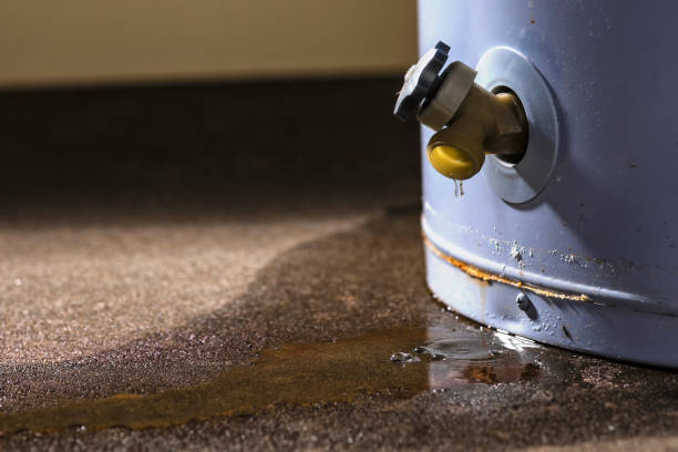 Best Water damage restoration mold remediation  in Reedley, CA