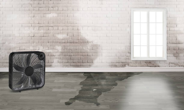 Best Flood restoration services  in Reedley, CA