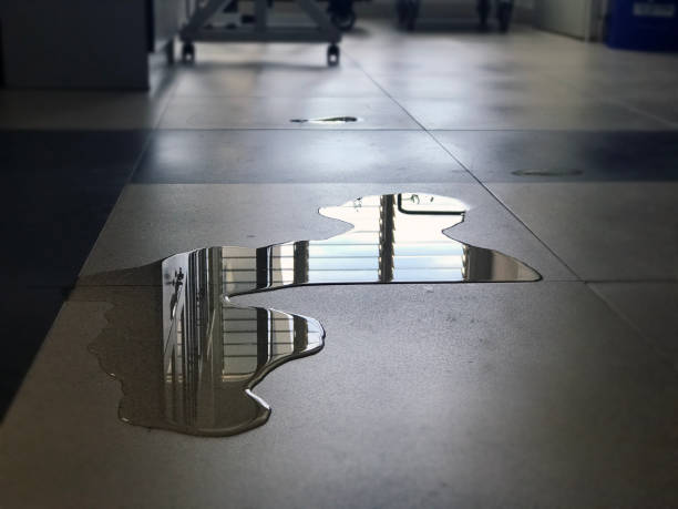 Best Local water damage restoration  in Reedley, CA