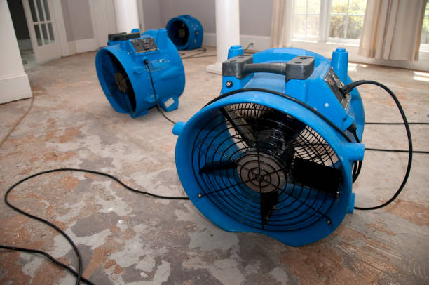 Best Water damage restoration process  in Reedley, CA