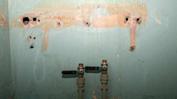 Best 24/7 water damage repair  in Reedley, CA