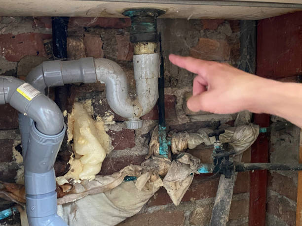 Best Mold removal after water damage  in Reedley, CA