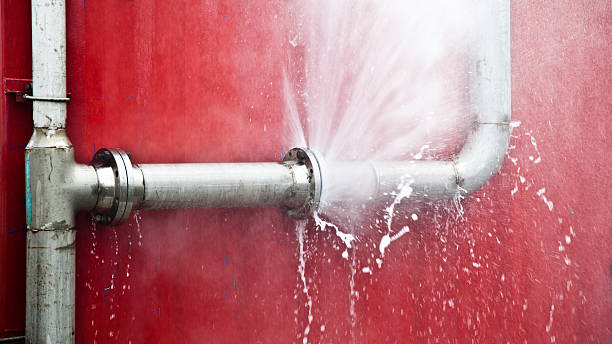 Best Mold removal after water damage  in Reedley, CA