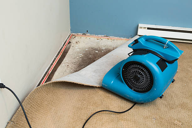 Best Residential water damage restoration  in Reedley, CA